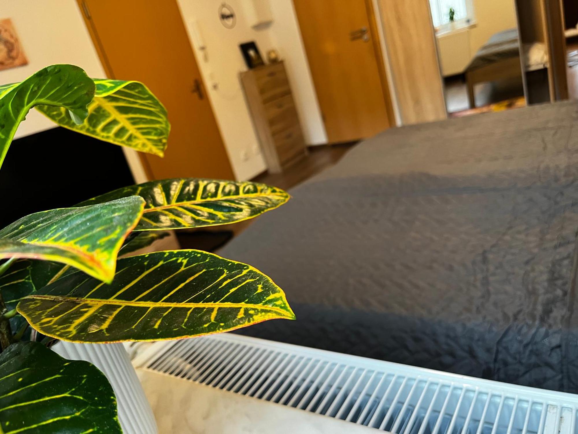 Ferienwohnung Karli'S Plaetzchen Gera Exterior foto